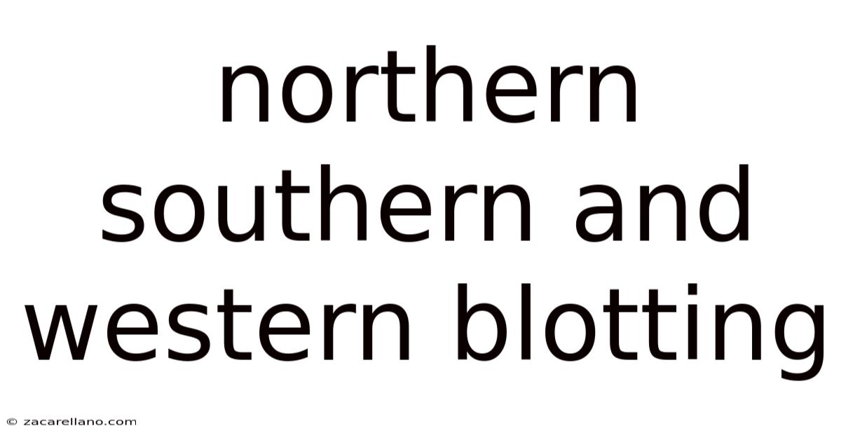 Northern Southern And Western Blotting