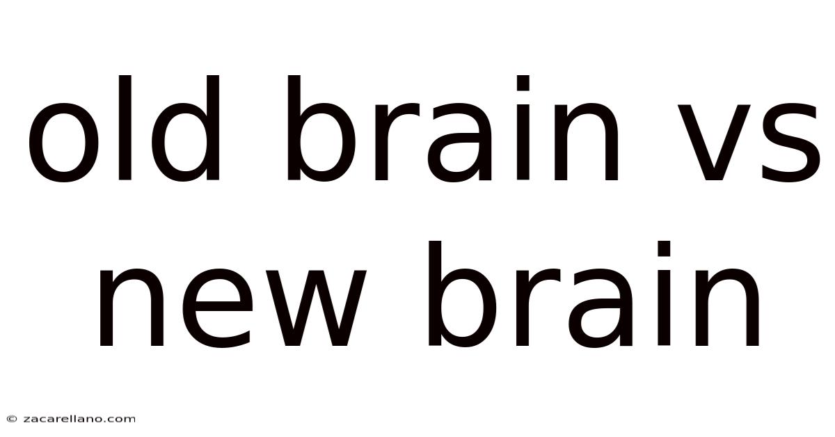 Old Brain Vs New Brain