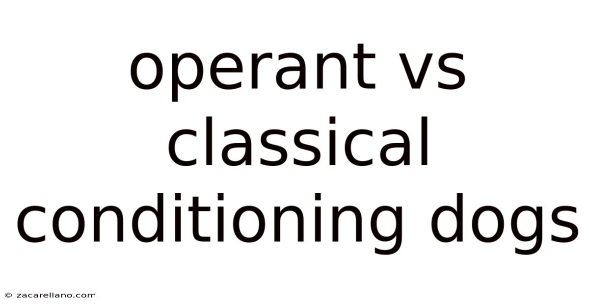 Operant Vs Classical Conditioning Dogs