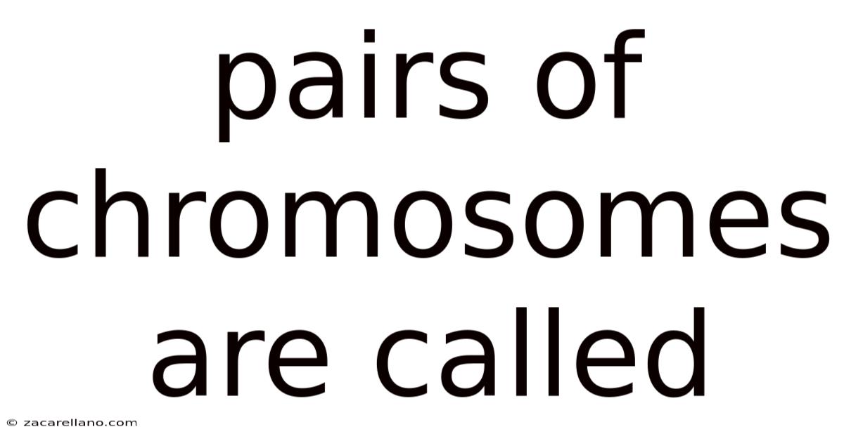 Pairs Of Chromosomes Are Called