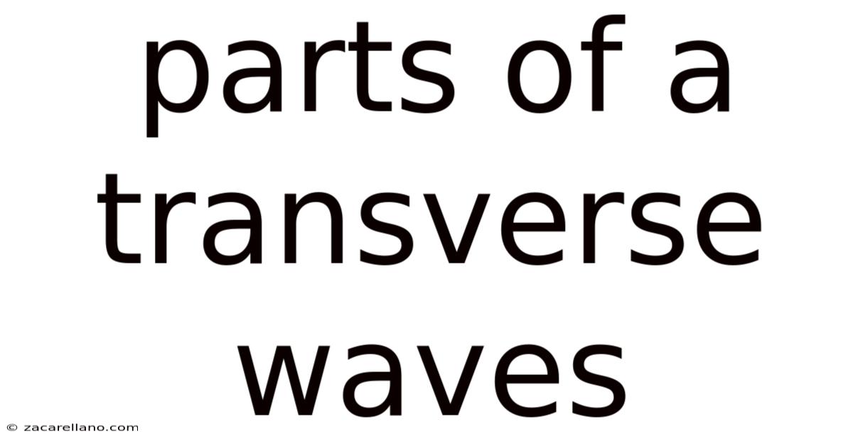 Parts Of A Transverse Waves