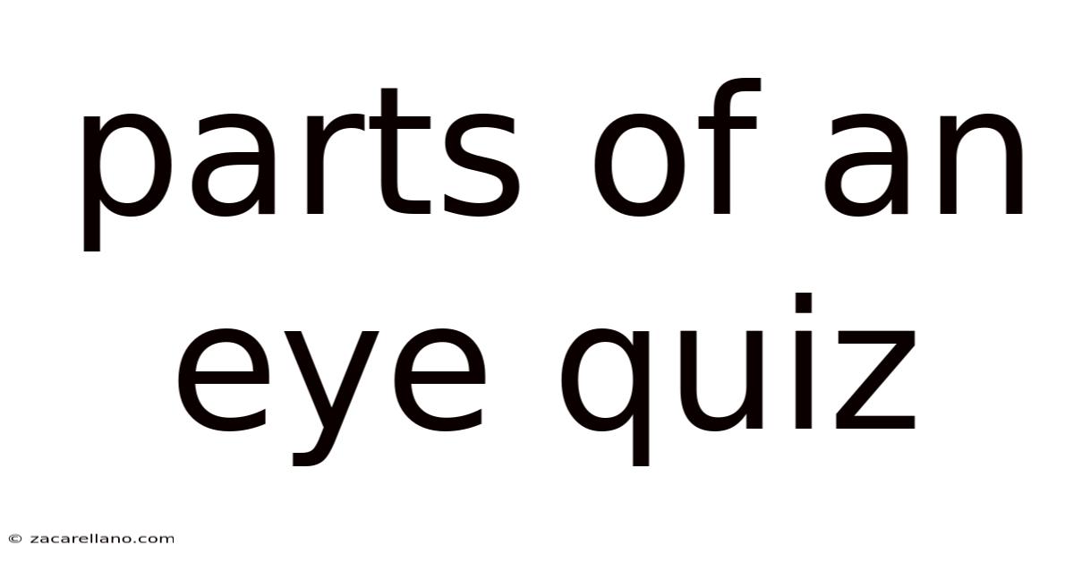 Parts Of An Eye Quiz