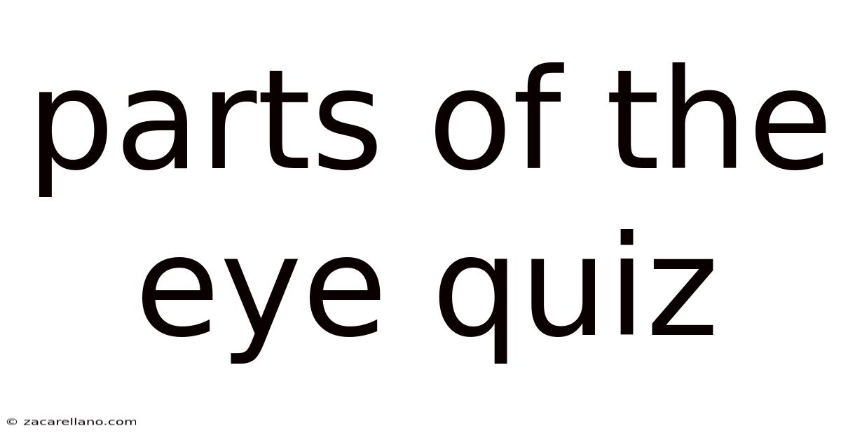 Parts Of The Eye Quiz