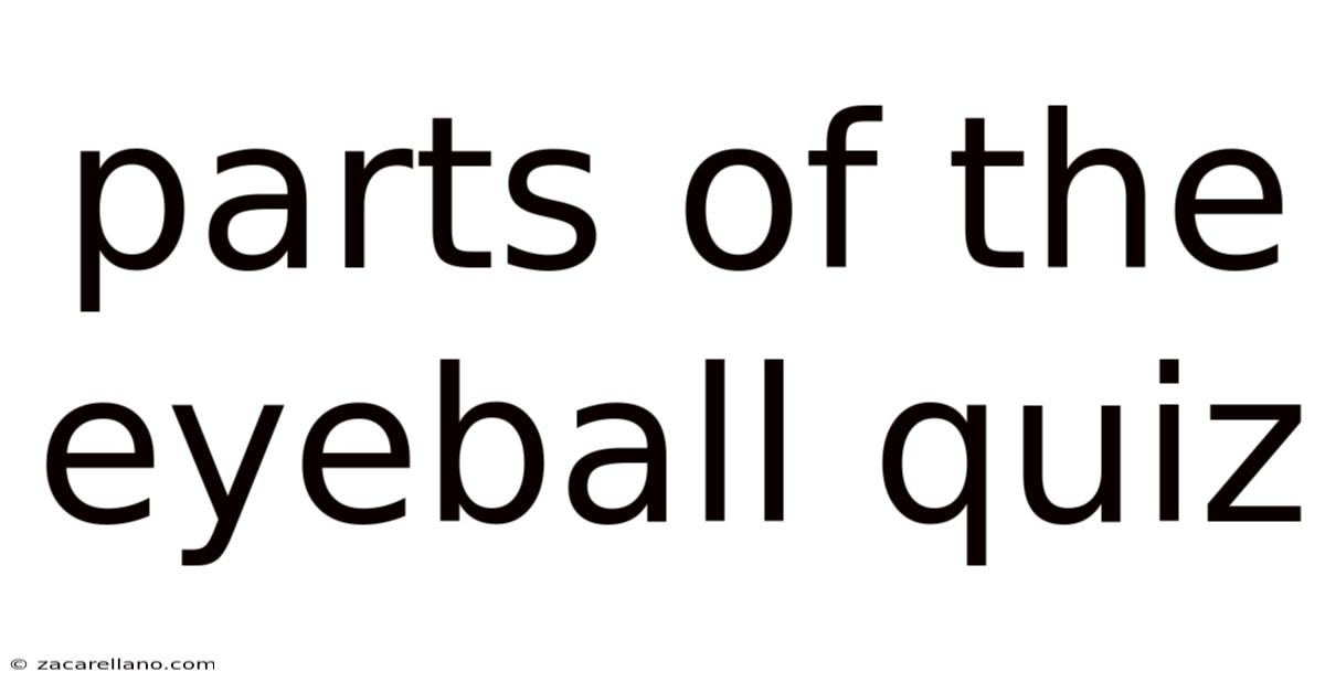Parts Of The Eyeball Quiz