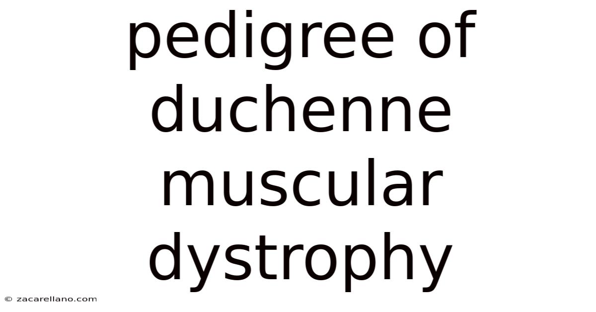 Pedigree Of Duchenne Muscular Dystrophy