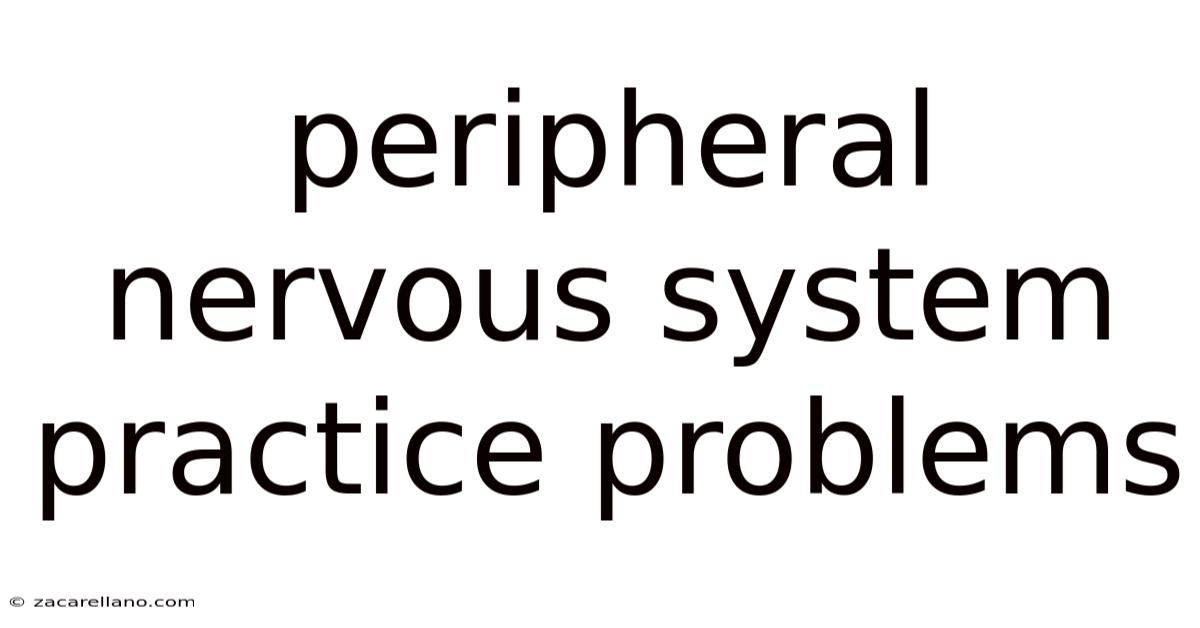 Peripheral Nervous System Practice Problems