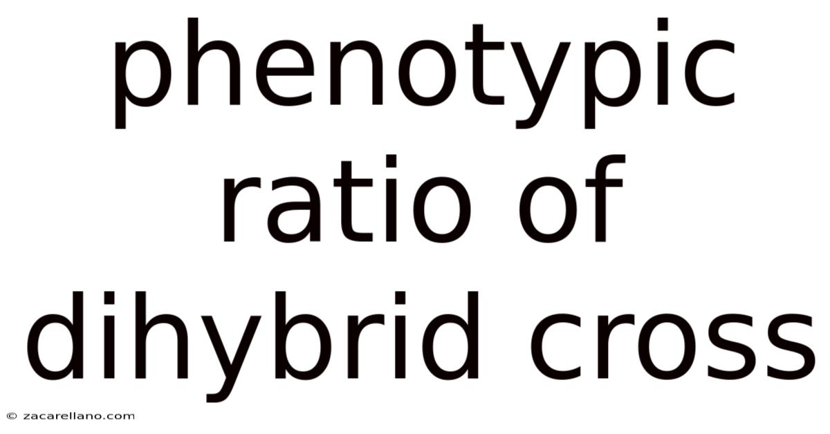 Phenotypic Ratio Of Dihybrid Cross