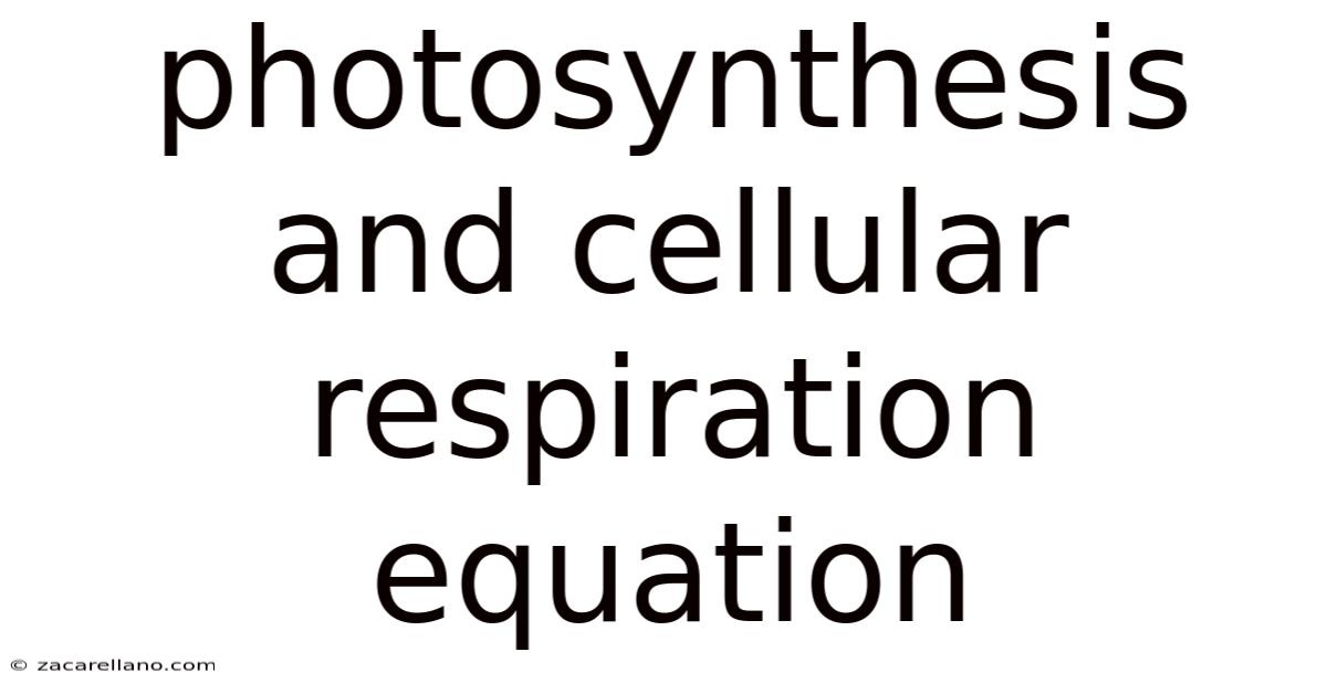Photosynthesis And Cellular Respiration Equation