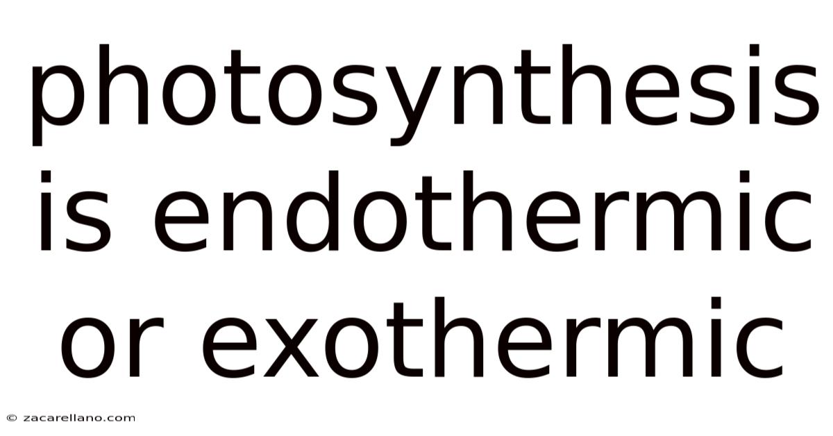 Photosynthesis Is Endothermic Or Exothermic