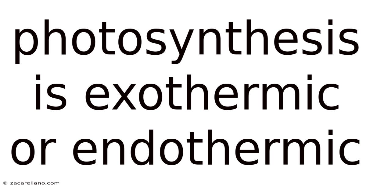 Photosynthesis Is Exothermic Or Endothermic