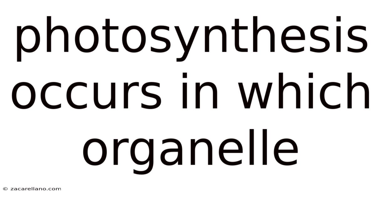 Photosynthesis Occurs In Which Organelle