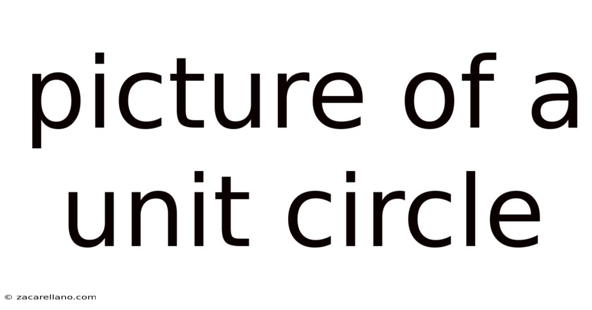 Picture Of A Unit Circle