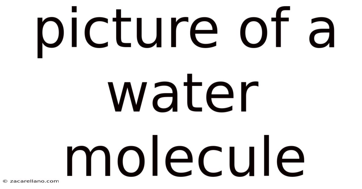 Picture Of A Water Molecule