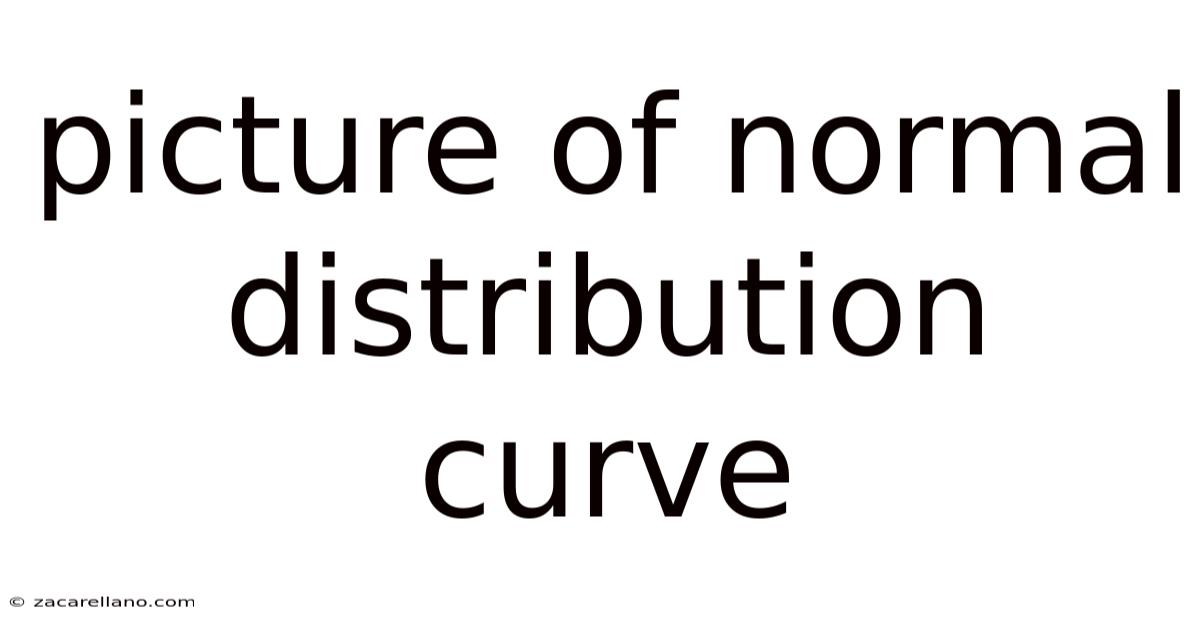 Picture Of Normal Distribution Curve