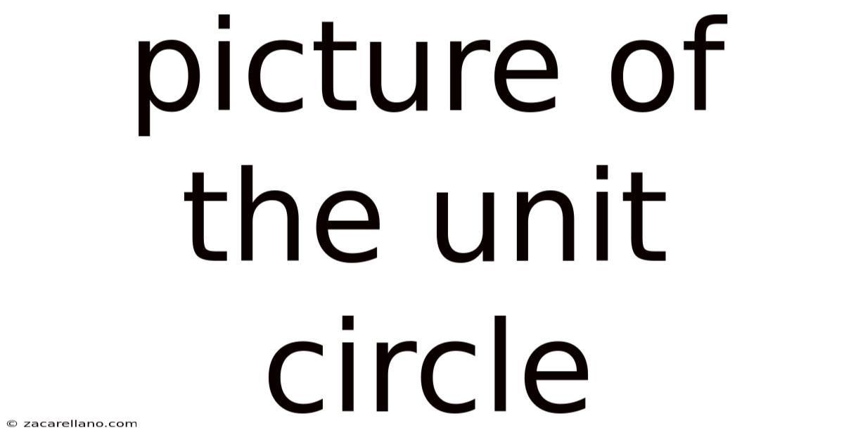 Picture Of The Unit Circle