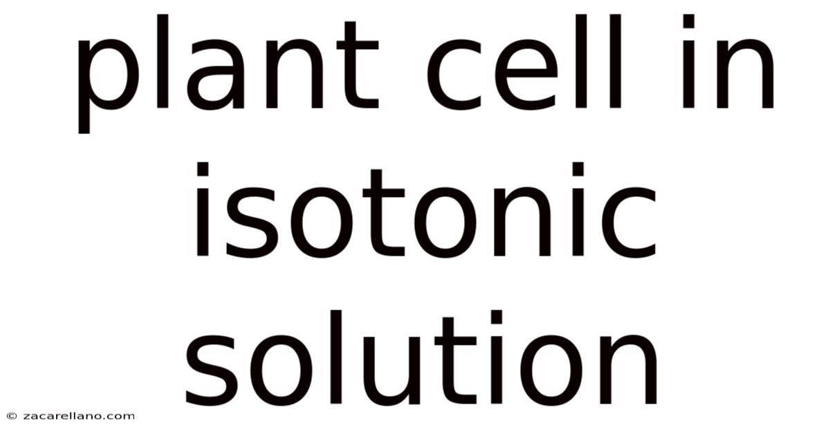 Plant Cell In Isotonic Solution