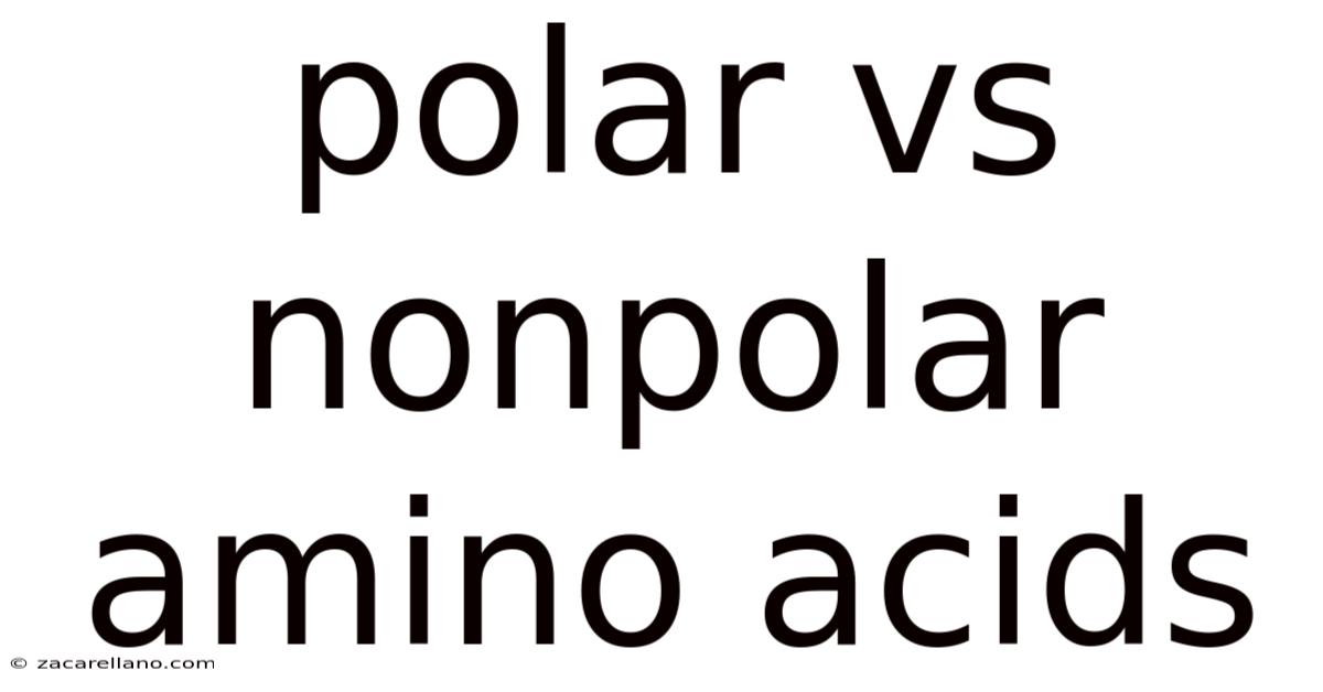Polar Vs Nonpolar Amino Acids