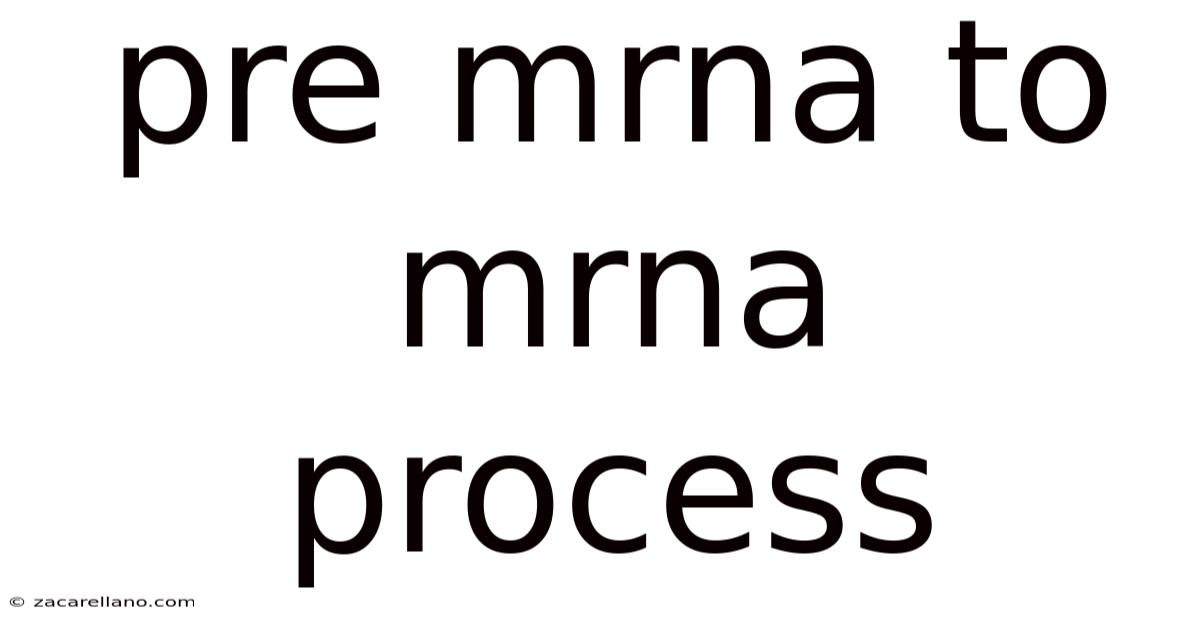 Pre Mrna To Mrna Process