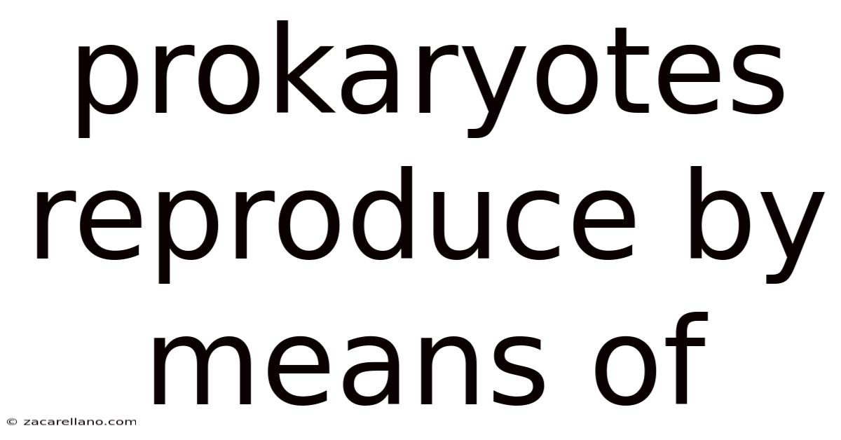Prokaryotes Reproduce By Means Of