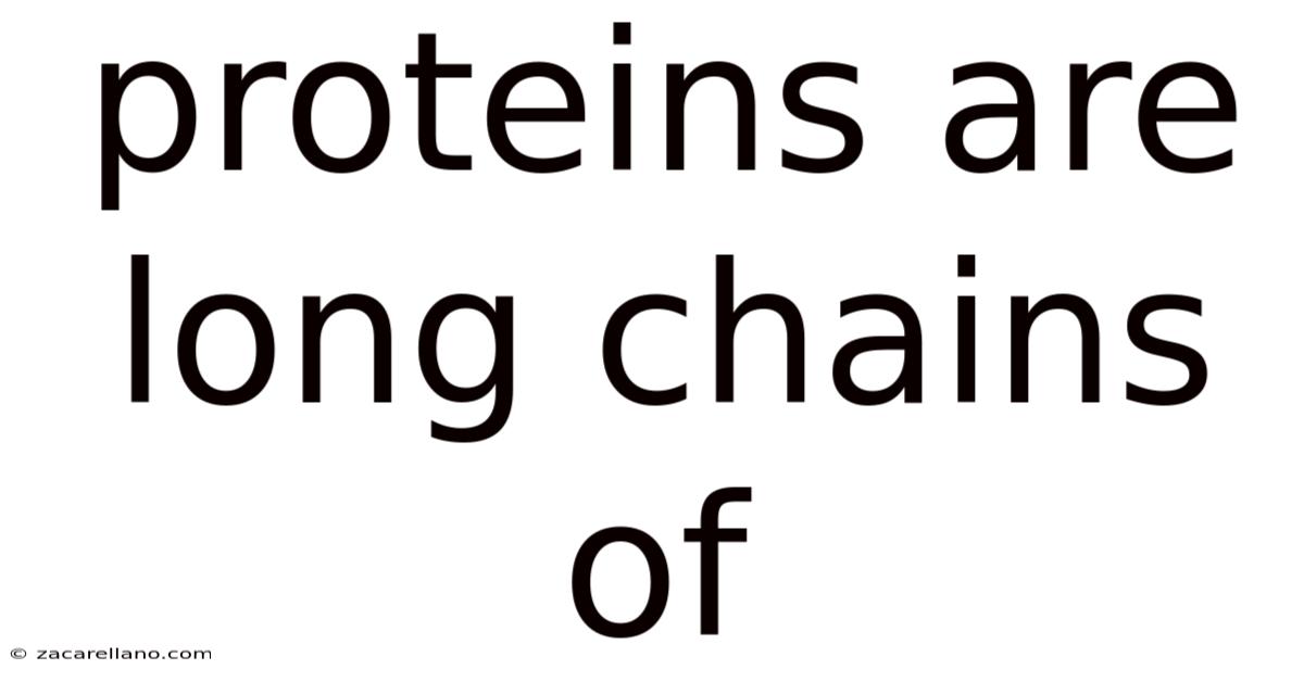 Proteins Are Long Chains Of