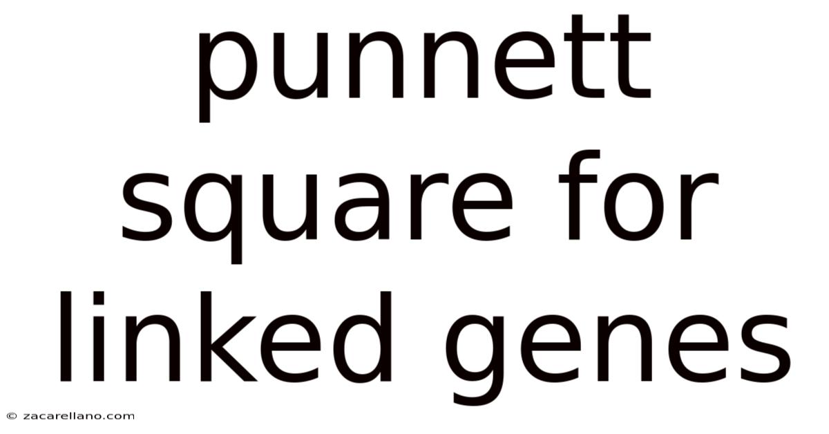 Punnett Square For Linked Genes