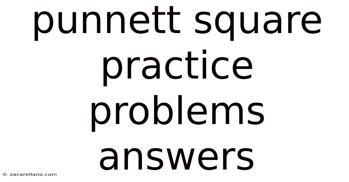 Punnett Square Practice Problems Answers