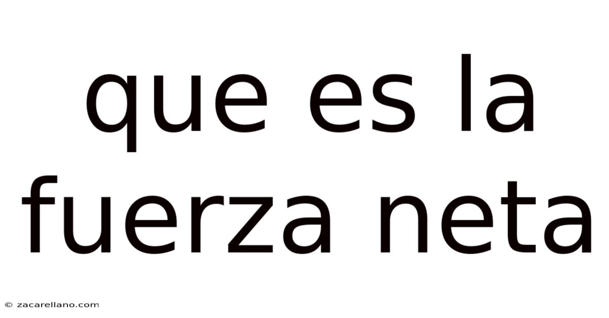 Que Es La Fuerza Neta