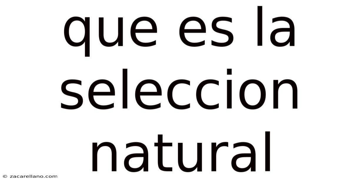Que Es La Seleccion Natural