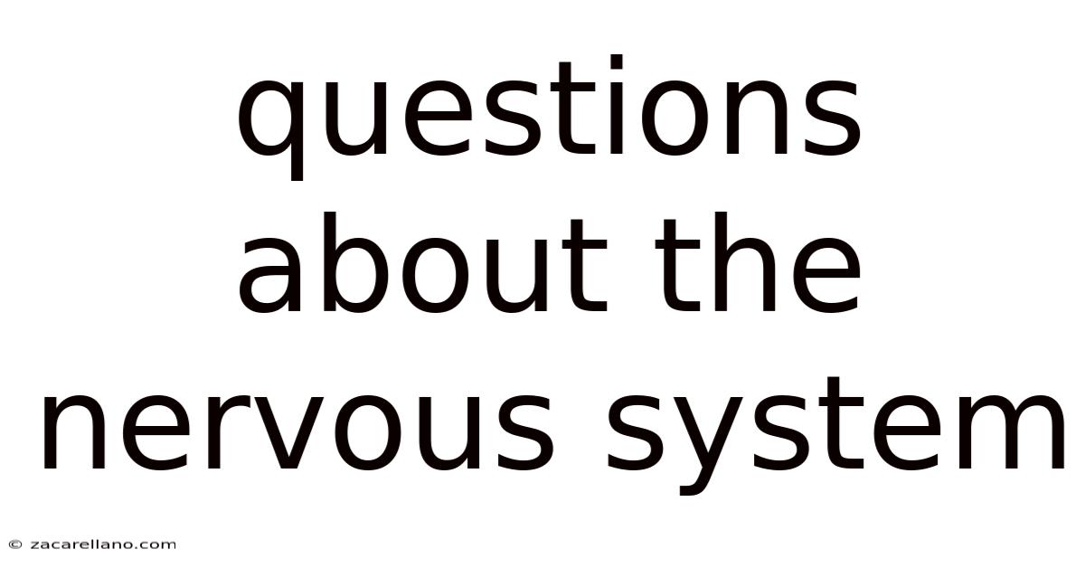 Questions About The Nervous System