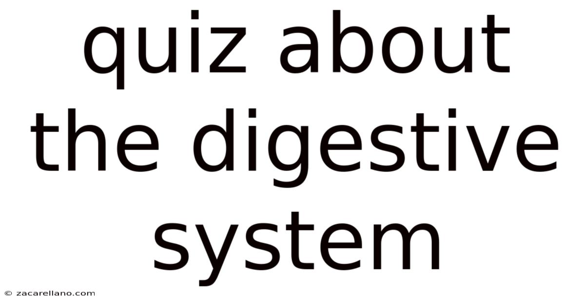 Quiz About The Digestive System