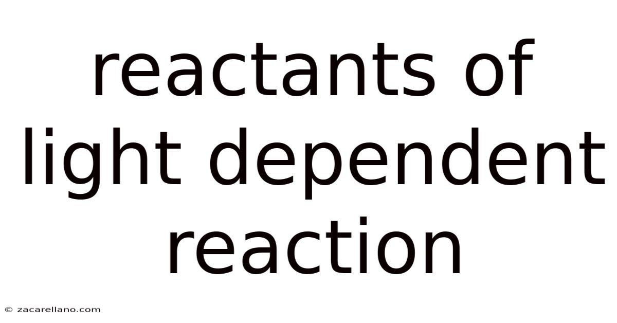 Reactants Of Light Dependent Reaction