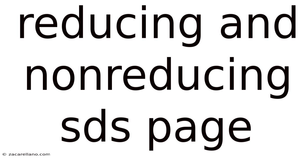 Reducing And Nonreducing Sds Page