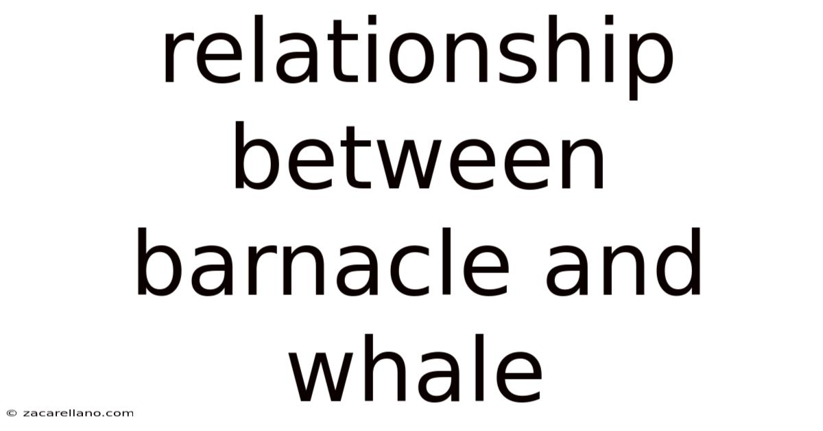 Relationship Between Barnacle And Whale
