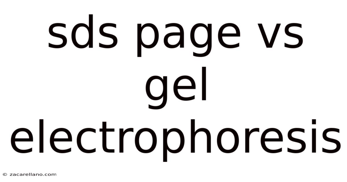 Sds Page Vs Gel Electrophoresis