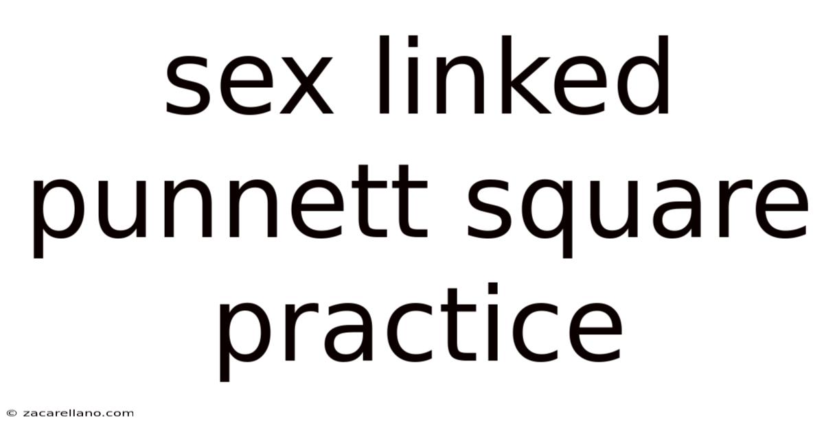Sex Linked Punnett Square Practice
