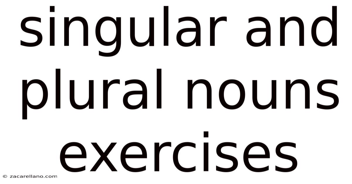 Singular And Plural Nouns Exercises