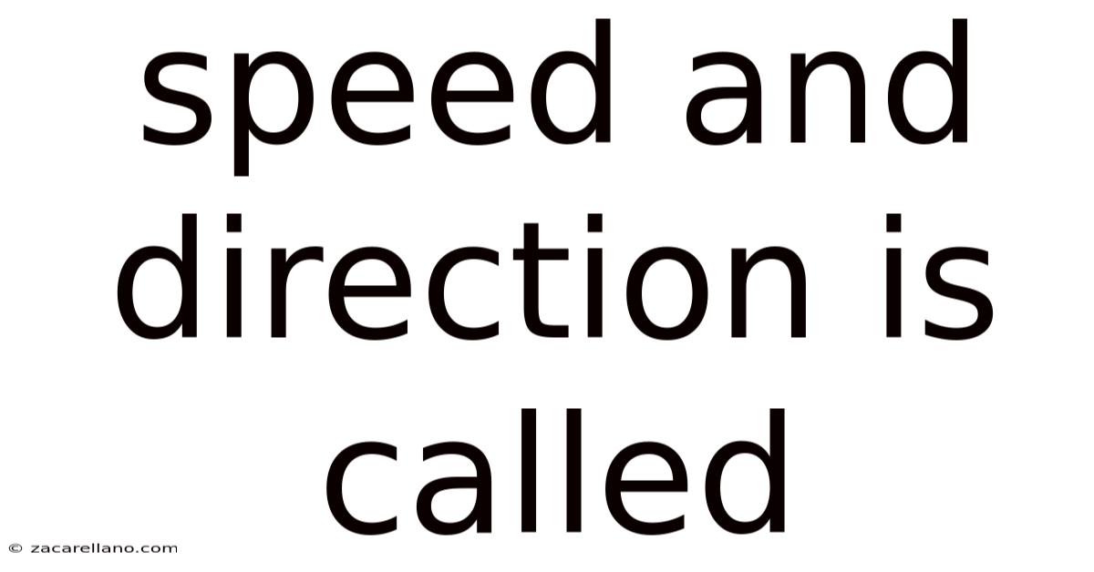 Speed And Direction Is Called
