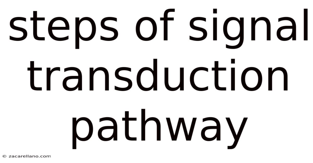 Steps Of Signal Transduction Pathway