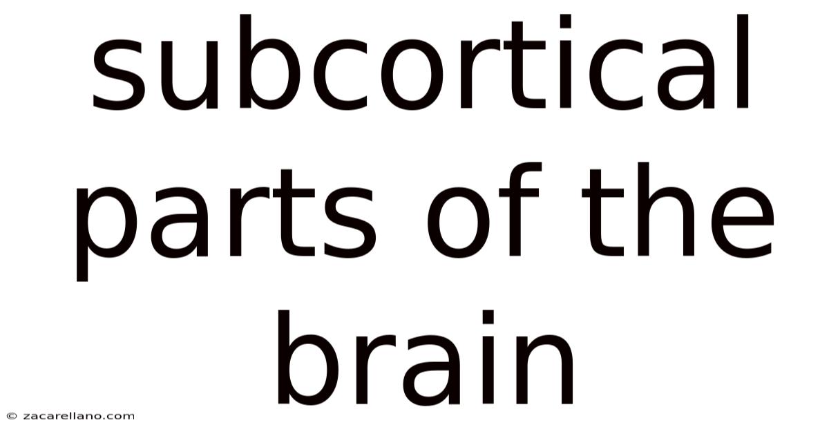 Subcortical Parts Of The Brain