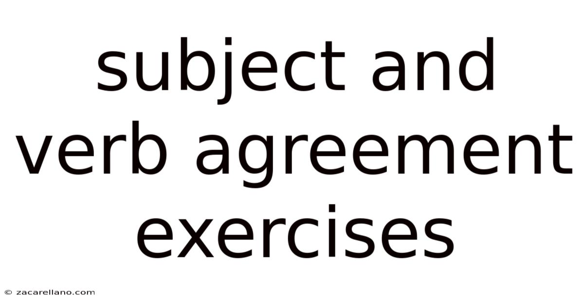 Subject And Verb Agreement Exercises
