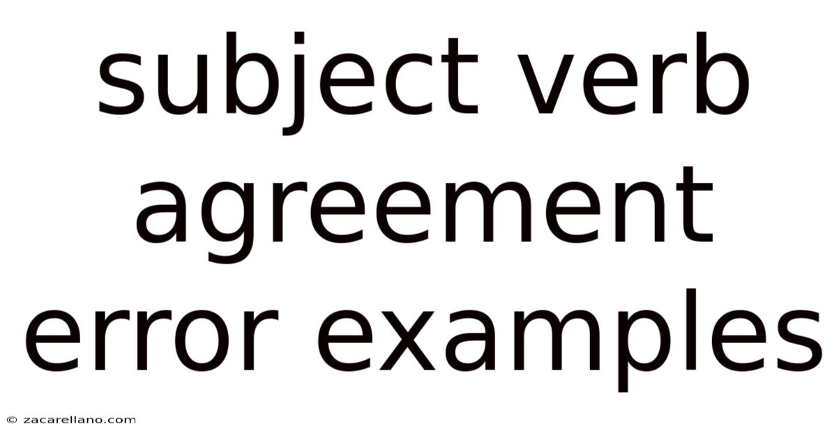 Subject Verb Agreement Error Examples