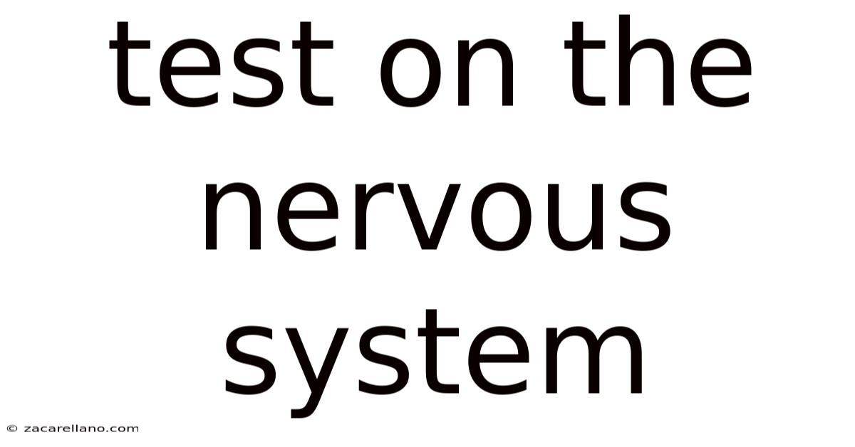 Test On The Nervous System