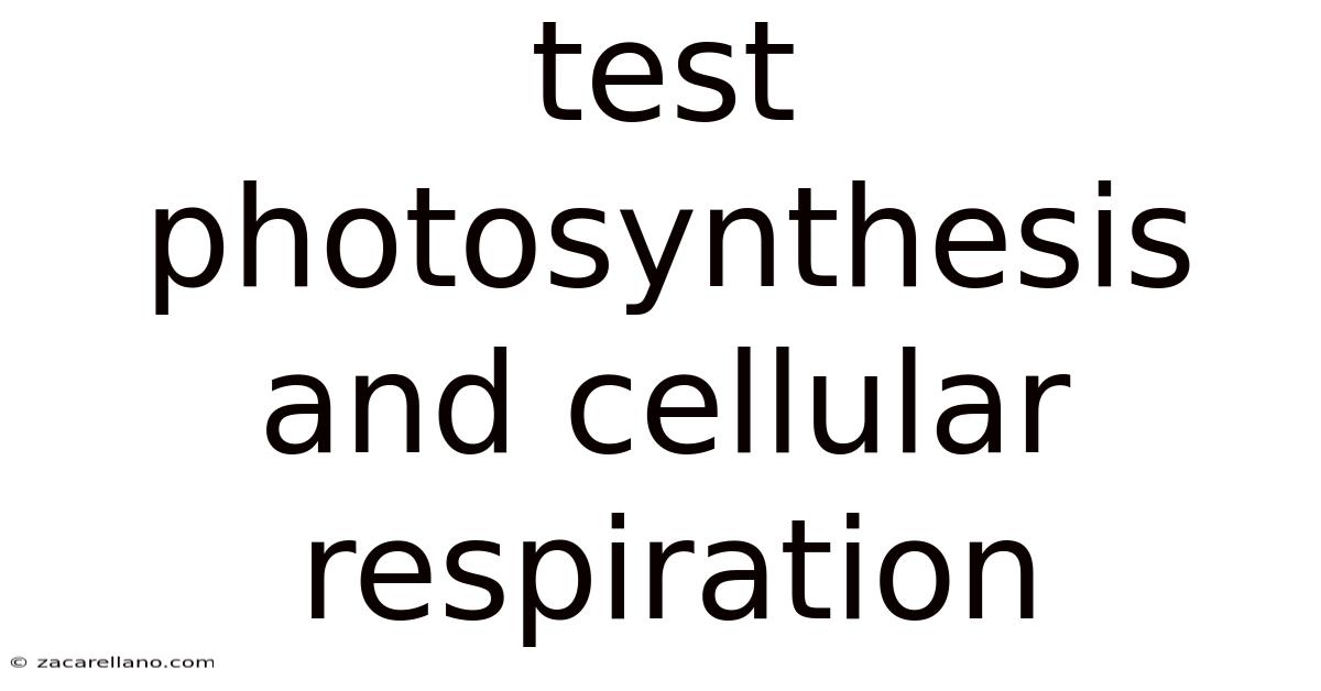 Test Photosynthesis And Cellular Respiration