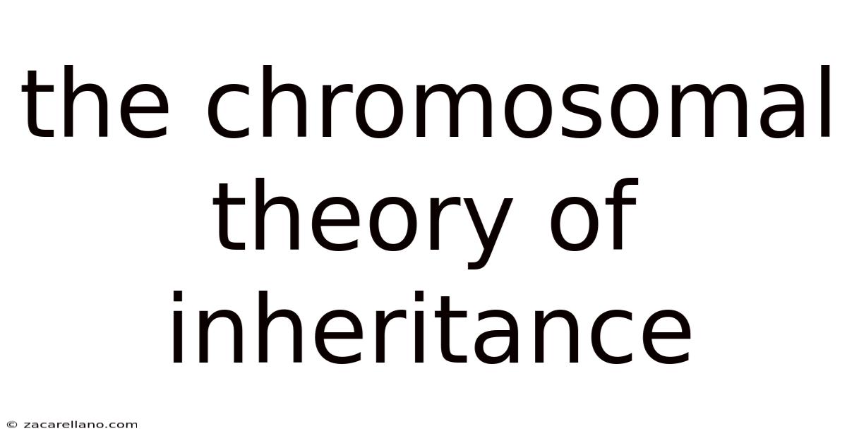 The Chromosomal Theory Of Inheritance