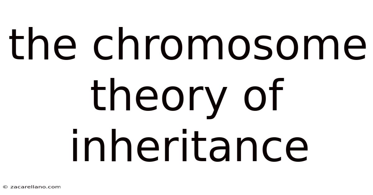 The Chromosome Theory Of Inheritance