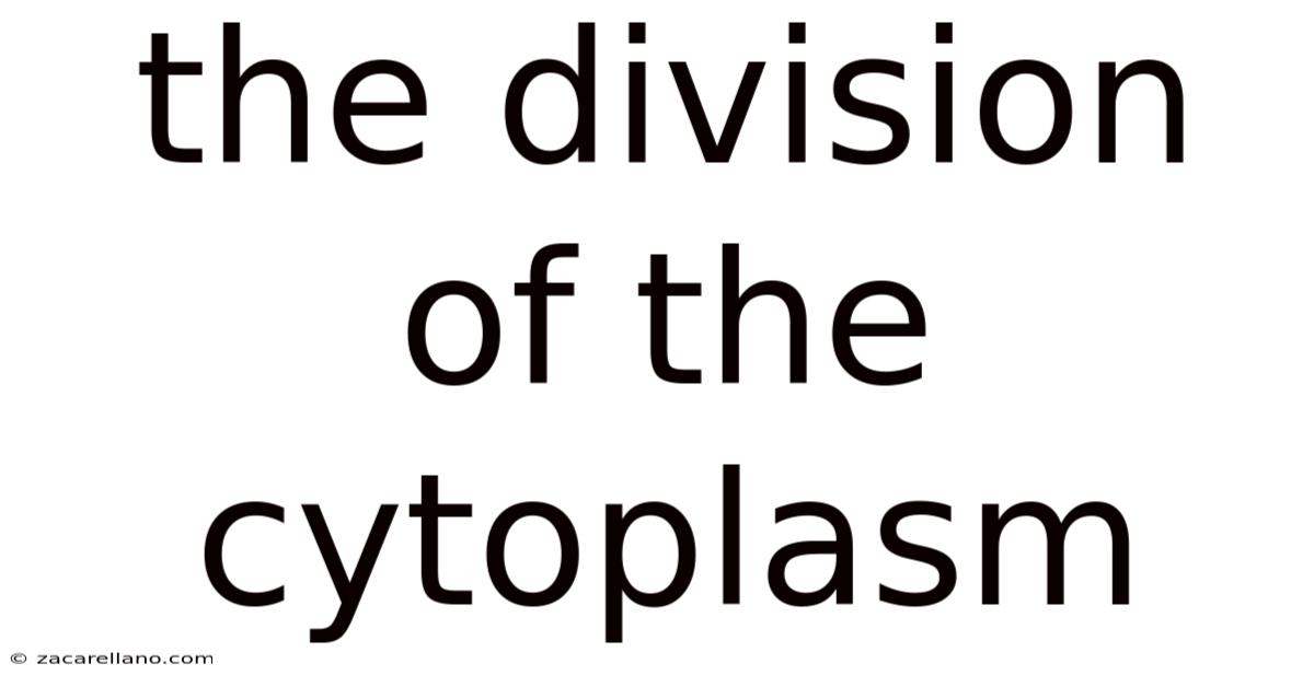 The Division Of The Cytoplasm