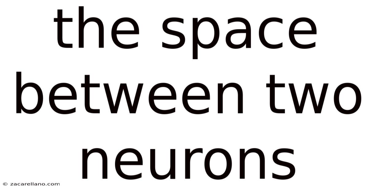 The Space Between Two Neurons