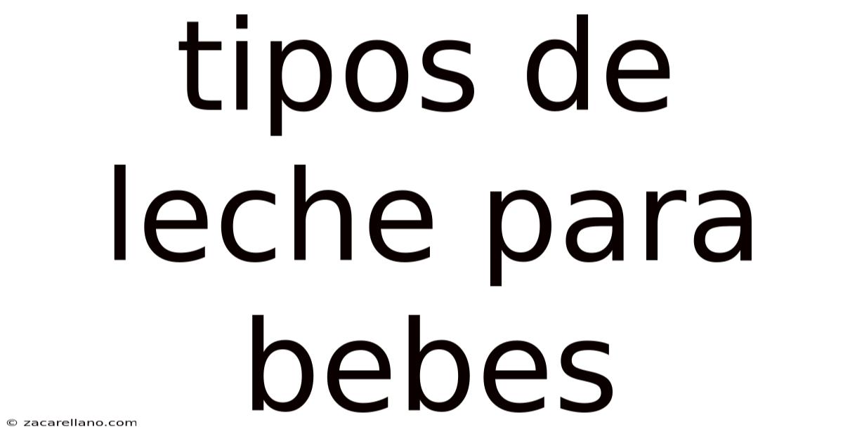 Tipos De Leche Para Bebes