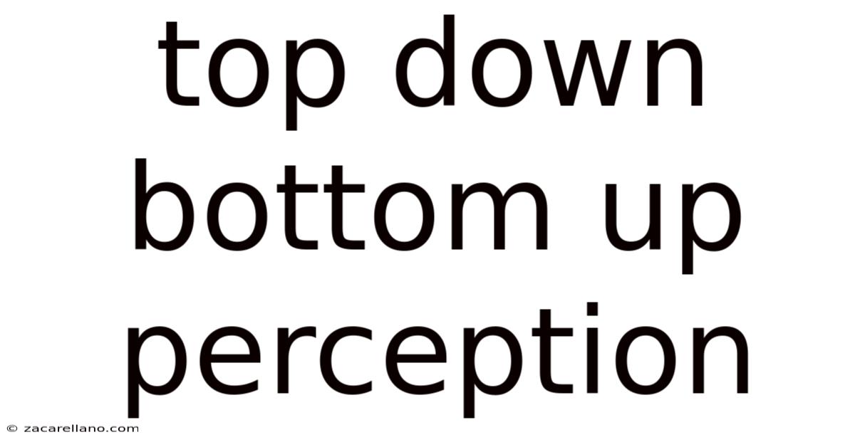 Top Down Bottom Up Perception