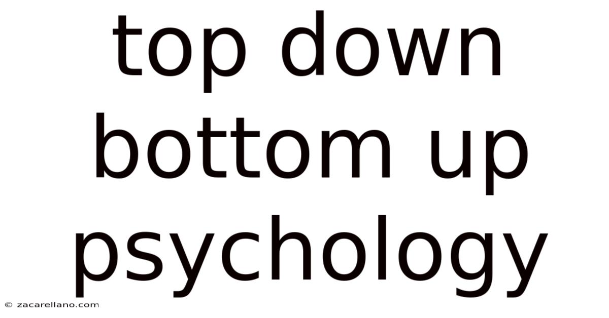 Top Down Bottom Up Psychology